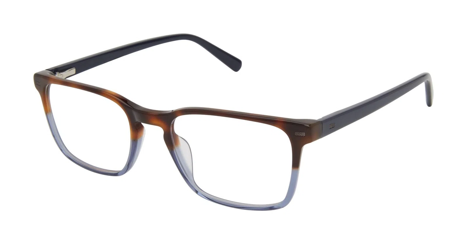 Ted Baker TM008 Eyeglasses